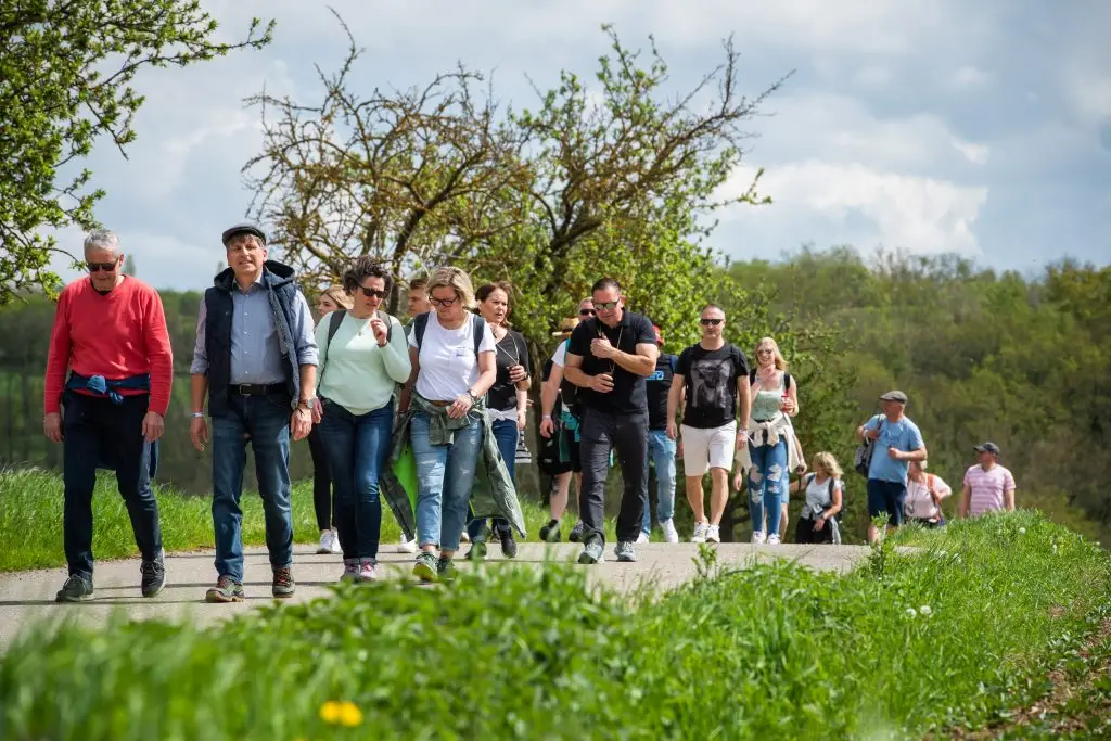 Weinspaziergang Rehehausen